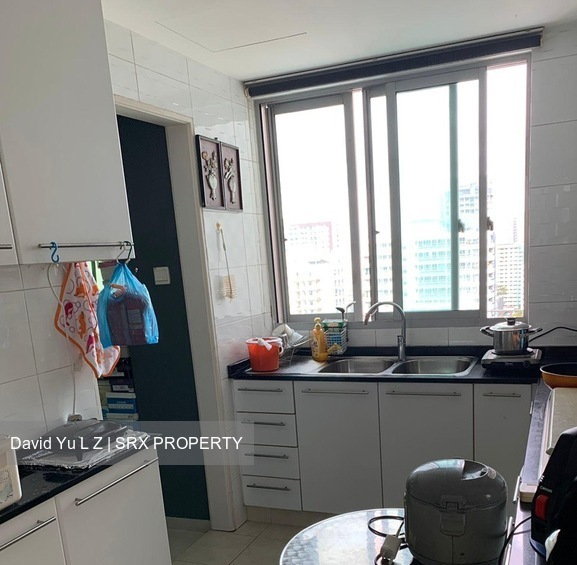 Scenic Heights (D12), Apartment #485942451